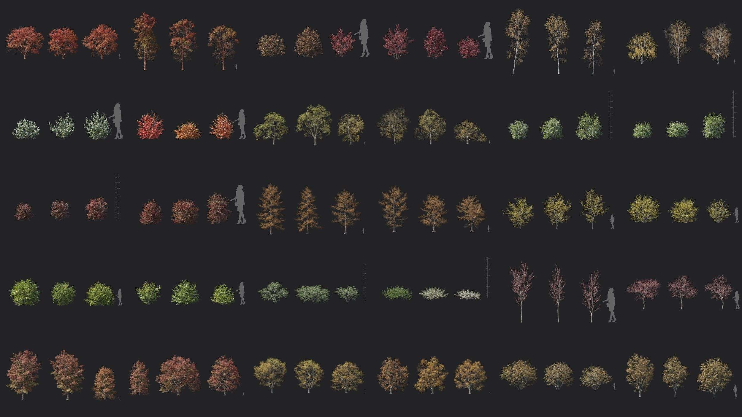 90个柳树松树枫树树木灌木3D模型 Plant Models Vol 146