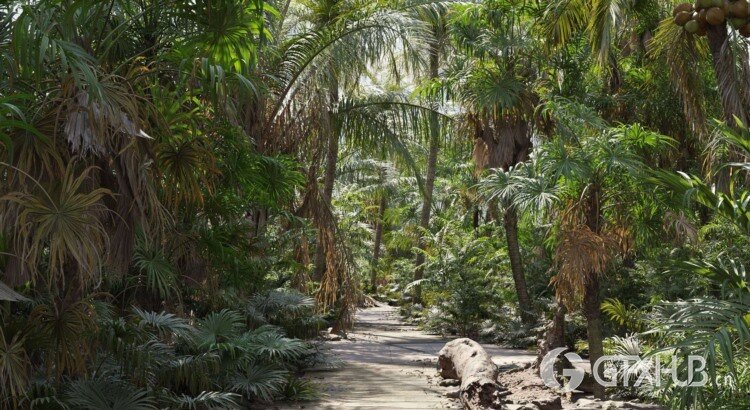 72个热带植物棕榈树3D模型 Plant Models Vol 148