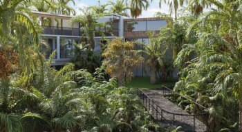 72个热带植物棕榈树3D模型 Plant Models Vol 154