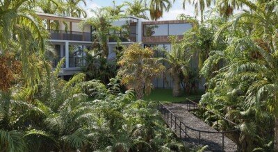 72个热带植物棕榈树3D模型 Plant Models Vol 154