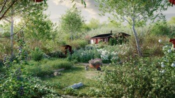 87种瑞典树木灌木和地被植物3D模型 Globe Plants – Bundle 44 – Swedish Plants