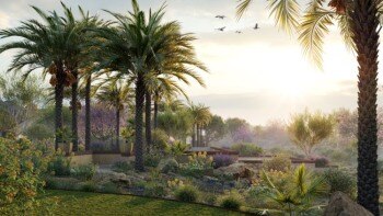 86种意大利树木和灌木3D植被模型 Globe Plants – Bundle 45 – Italian Plants