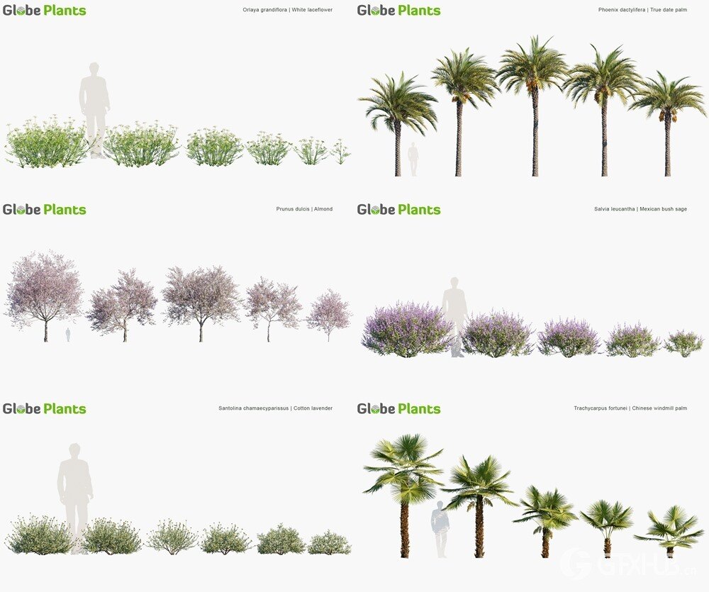 86种意大利树木和灌木3D植被模型 Globe Plants - Bundle 45 - Italian Plants