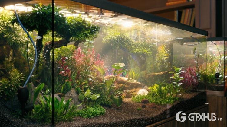 105种鱼缸和水族馆3D水生植物模型 Globe Plants - Bundle 48 - Aquatic Plants