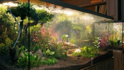 105种鱼缸和水族馆3D水生植物模型 Globe Plants – Bundle 48 – Aquatic Plants