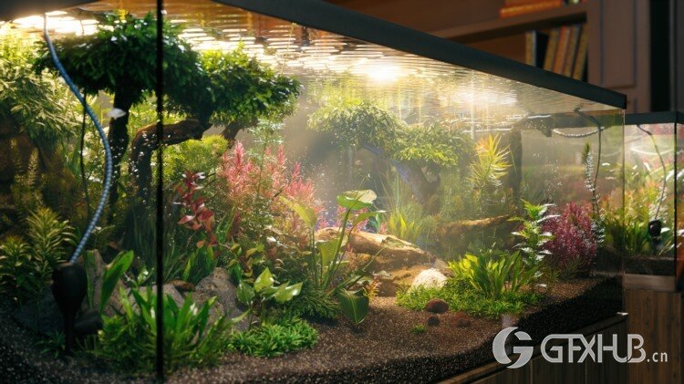 105种鱼缸和水族馆3D水生植物模型 Globe Plants - Bundle 48 - Aquatic Plants