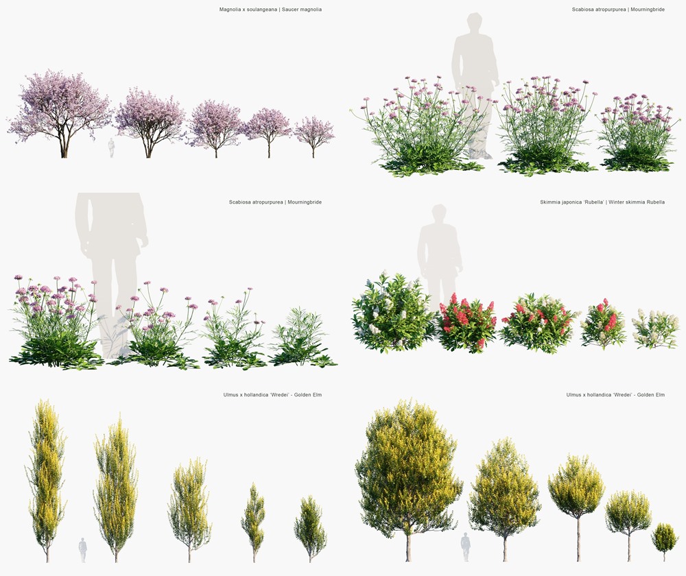  86种英国家居花园树木灌木植被3D模型 Globe Plants - Bundle 53 - British Home Garden Plants