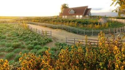 177种农业植物3D植被模型 Globe Plants – Bundle 54 – Agricultural Plants