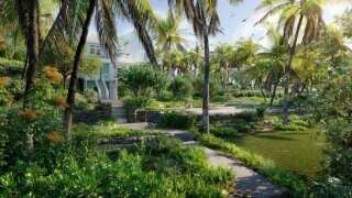 95种夏威夷热带棕榈树灌木3D模型 Globe Plants – Bundle 56 – Hawaiian Plant