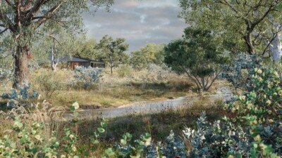 93种桉树3D模型 Globe Plants – Bundle 62 – Eucalyptus Trees