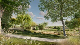 99 种街道树木 3D 模型 | Globe Plants Bundle 65 城市场景植被素材