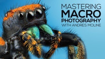 微距摄影完整拍摄和编辑教程 Fstoppers – Mastering Macro Photography