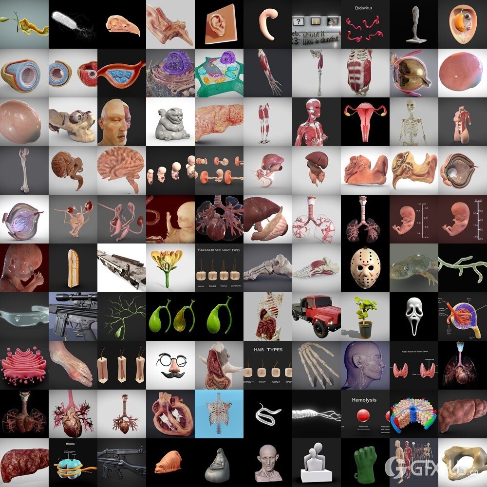 Sketchfab 480个3D模型合集2024年第16季 Sketchfab – 3D Model Pack 2024 Vol.16