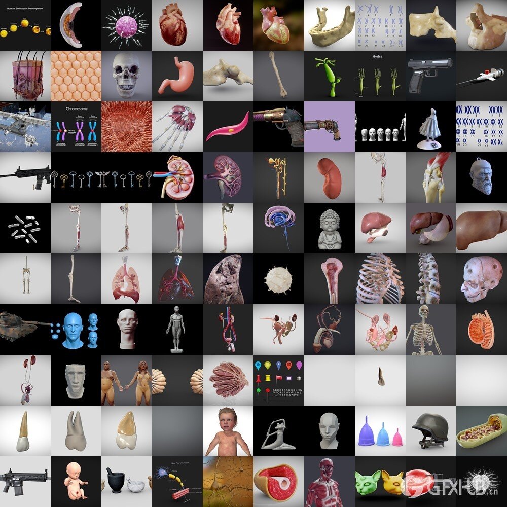 Sketchfab 480个3D模型合集2024年第16季 Sketchfab – 3D Model Pack 2024 Vol.16