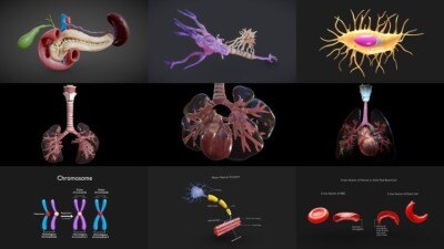 Sketchfab 480个3D模型合集2024年第16季 Sketchfab – 3D Model Pack 2024 Vol.16