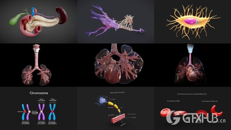 Sketchfab 480个3D模型合集2024年第16季 Sketchfab – 3D Model Pack 2024 Vol.16