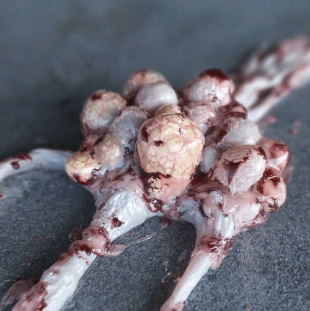 Houdini Vellum模拟爬行生物教程 Mastering Houdini on a new level - The Symbiote Creature