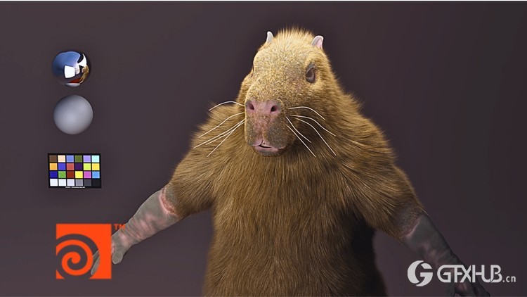 Houdini 毛皮美容基础知识教程 Fundamentals of Fur Grooming in Houdini