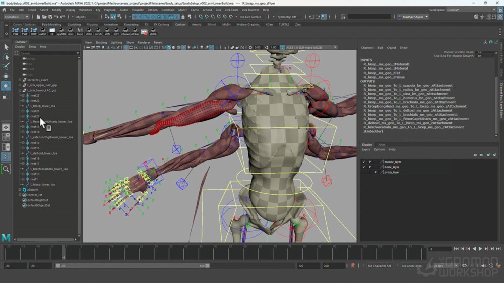 使用 Ziva VFX、Maya 和 Wrap 3D 与 Madhav Shyam 进行软组织模拟教程