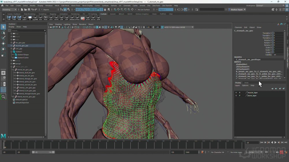 使用 Ziva VFX、Maya 和 Wrap 3D 与 Madhav Shyam 进行软组织模拟教程