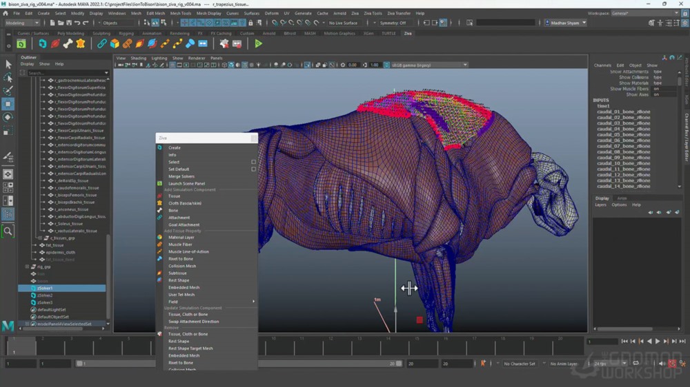使用 Ziva VFX、Maya 和 Wrap 3D 与 Madhav Shyam 进行软组织模拟教程