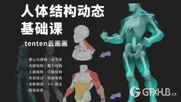 tenten云2022年人体结构动态基础第五期