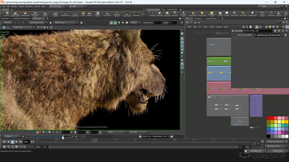 【中文字幕】Houdini 幻想生物修饰技巧 Fantasy Creature Grooming in Houdini