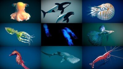 Sketchfab 140个3D模型合集2025年第1季 Sketchfab – 3D Model Pack 2025 Vol.1