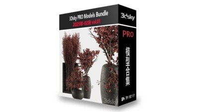 3DSky Pro 3D模型合辑2025年2月第1季 | 300套 | 17GB