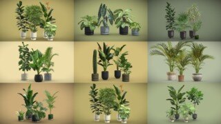 200+套室内盆栽椅子3D模型合集 Sketchfab – AllQuad 3D-Models Collection