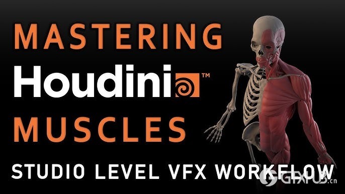 【中文字幕】Houdini视觉效果肌肉模拟教程 Mastering Houdini Muscles A Studio Level VFX Workflow