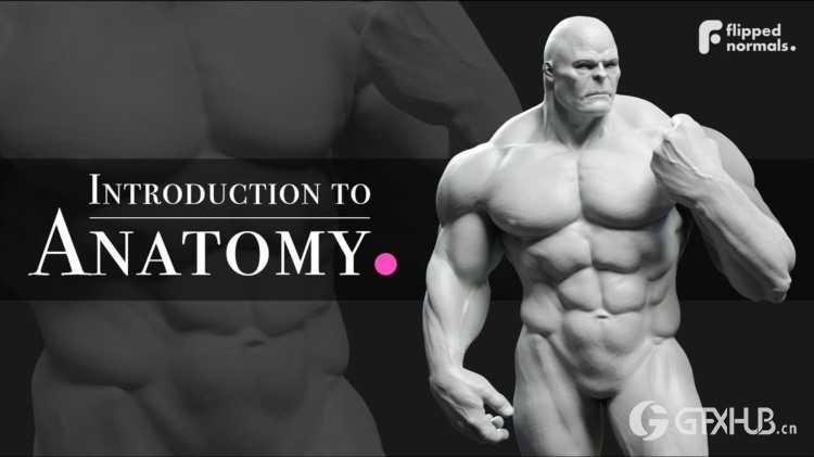 解剖学导论 ZBrush 人物雕刻教程 - Introduction to Anatomy