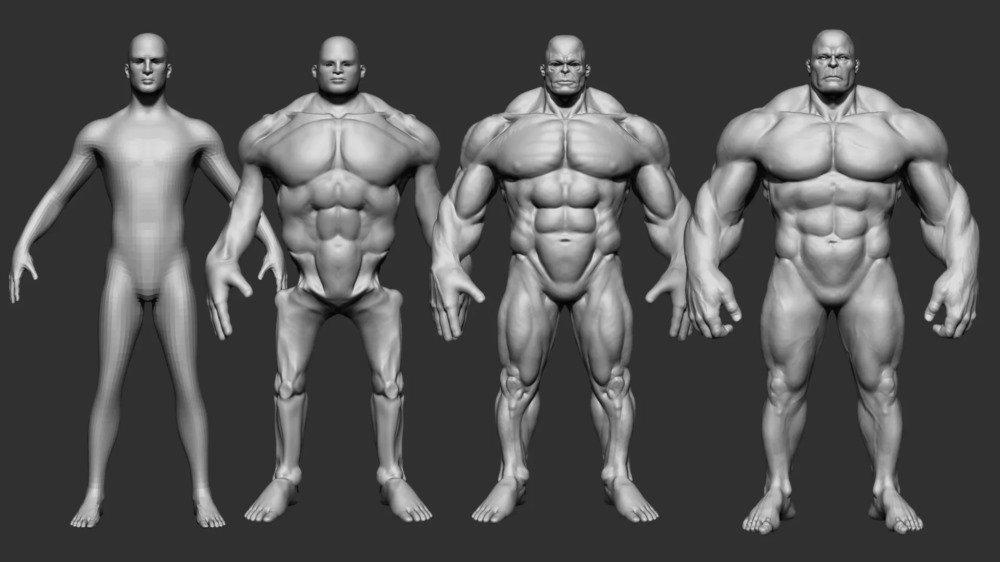 【中文字幕】解剖学导论 ZBrush 人物雕刻教程 - Introduction to Anatomy