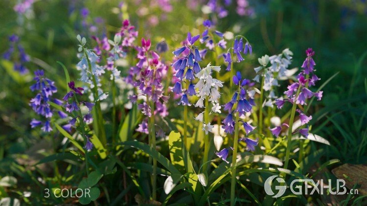 花集vol05 风信子3D模型