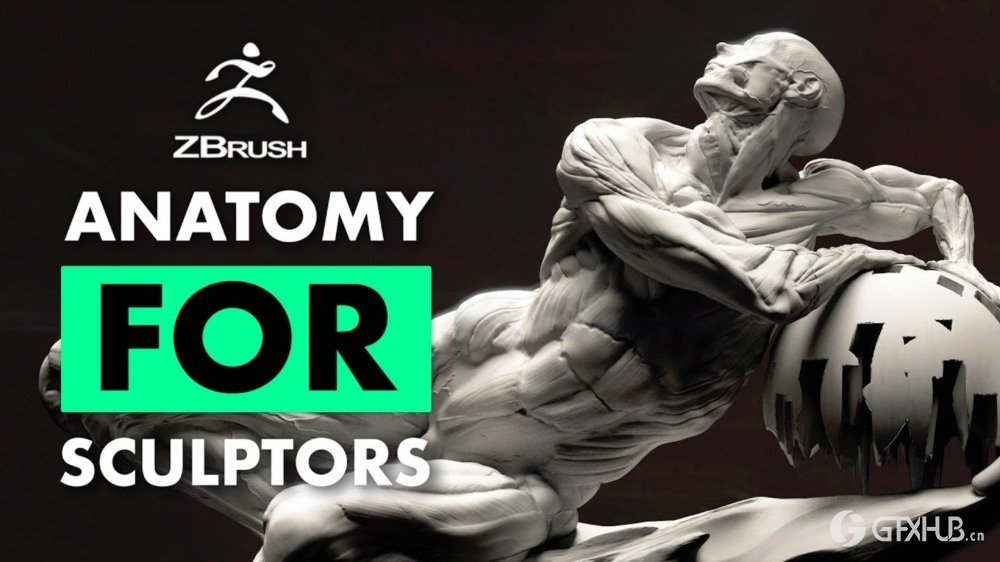 ZBrush 雕塑家基础解剖学
