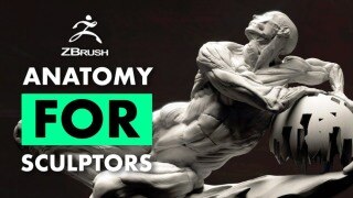 【中文字幕】ZBrush 雕塑家基础解剖学教程