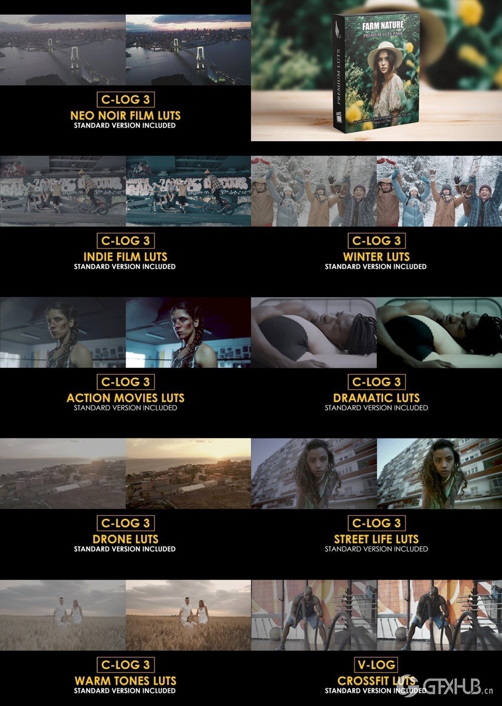 Apple Motion & FCPX 素材合集2025第2季 Luts 颜色预设