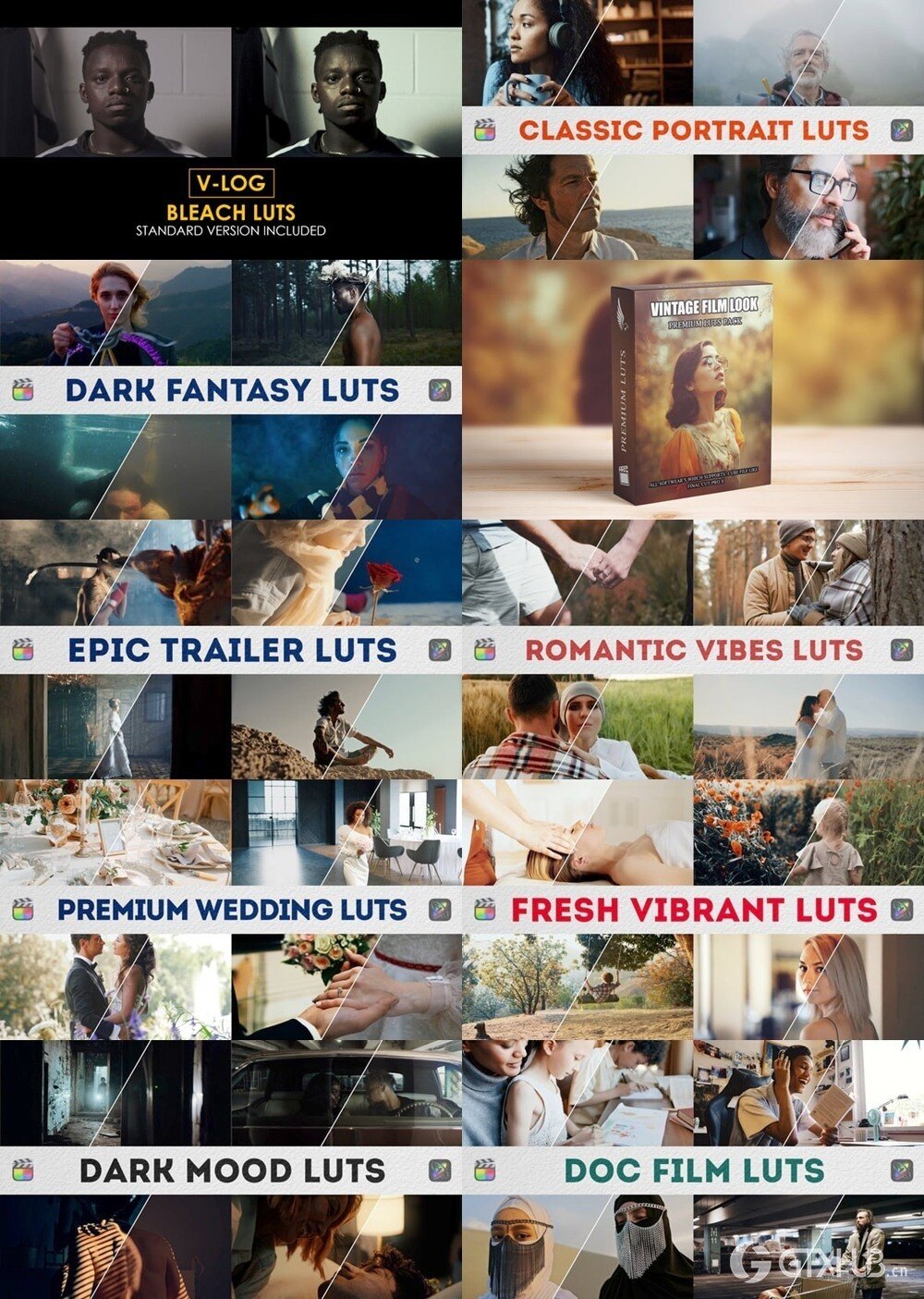 Apple Motion & FCPX 素材合集2025第2季 Luts 颜色预设