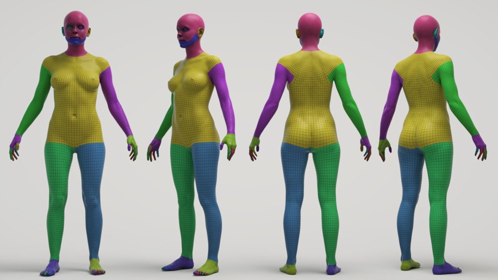 终极纹理男性和女性3d基础网格模型捆绑包