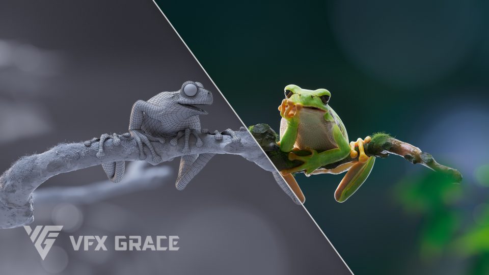 青蛙动画3D模型 Tree Frog - VfX Grace