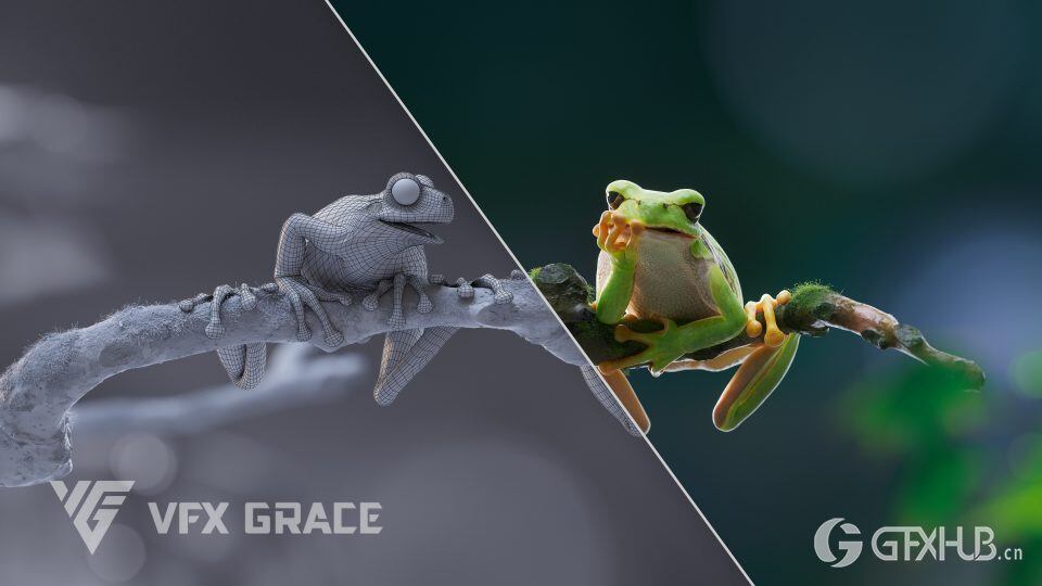 青蛙动画3D模型 Tree Frog - VfX Grace