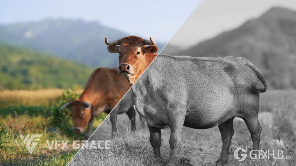 动画绑定黄牛 3D 模型 适用于 Blender（格式：Blender/OBJ格式）