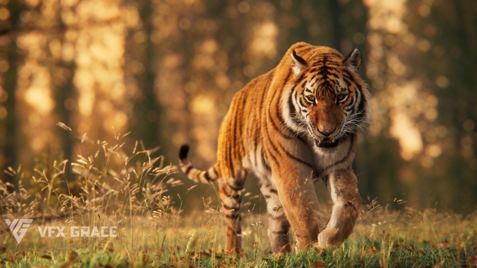 西伯利亚虎 3D 动画模型 Siberian Tiger - VfX Grace