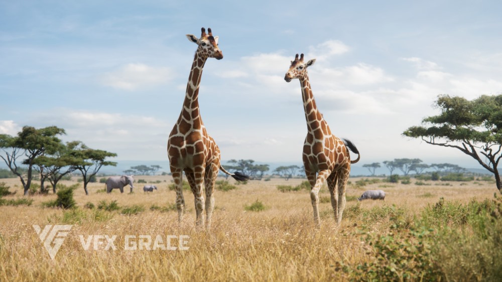动画绑定长颈鹿3D模型 Giraffe Animated - VFX Grace