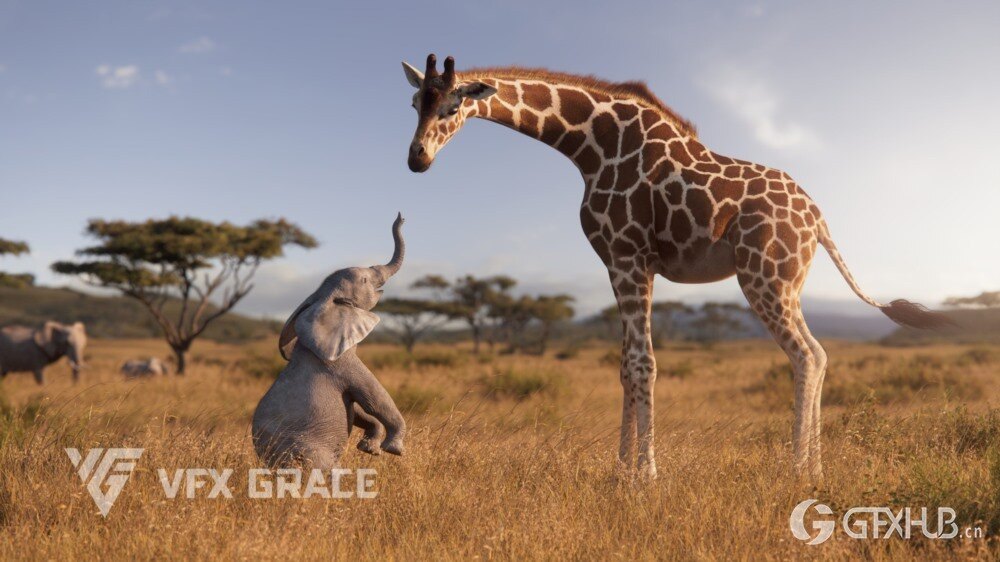 动画绑定长颈鹿3D模型 Giraffe Animated - VFX Grace