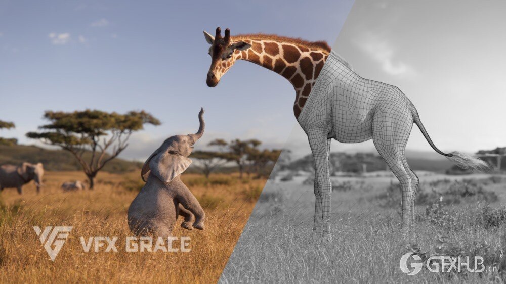 动画绑定长颈鹿3D模型 Giraffe Animated - VFX Grace