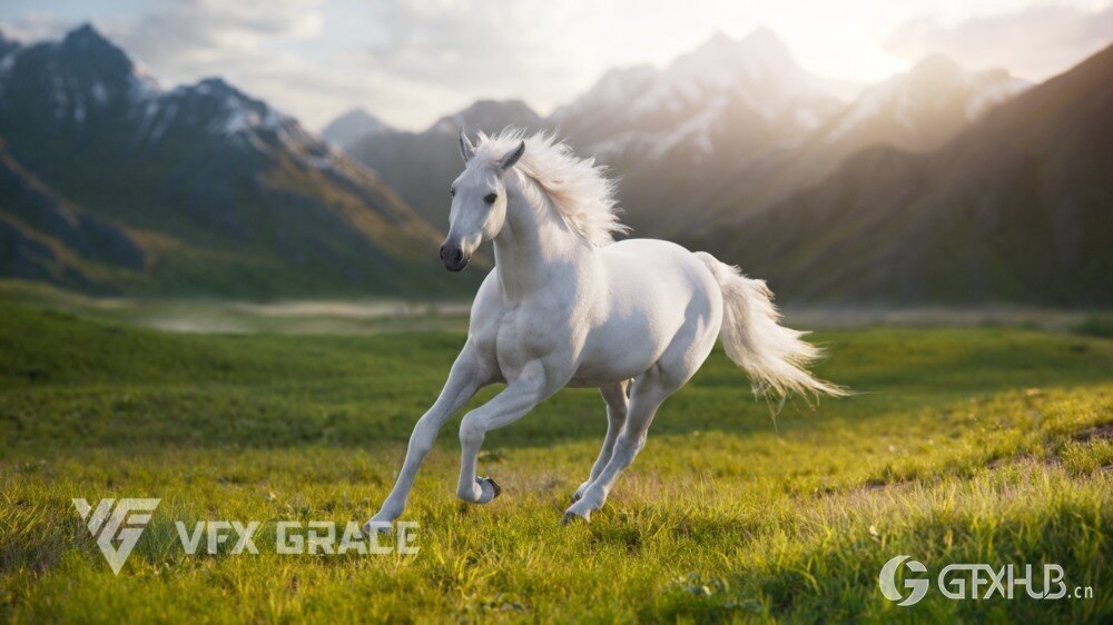 3d 白马动画模型 3d white horse animation model - VFX Grace