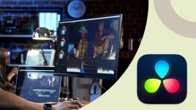 【中文字幕】达芬奇视频编辑训练营 Learn DaVinci Resolve The Complete Video Editing Bootcamp