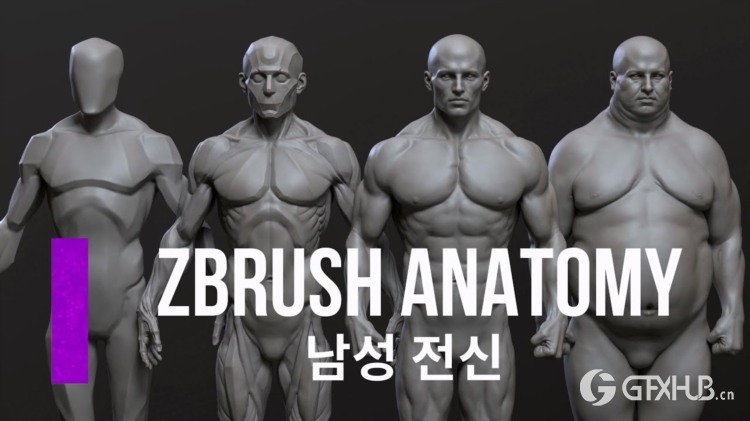Zbrush 中级男性解剖学 CGBump Zbrush Senior Anatomy (Male)