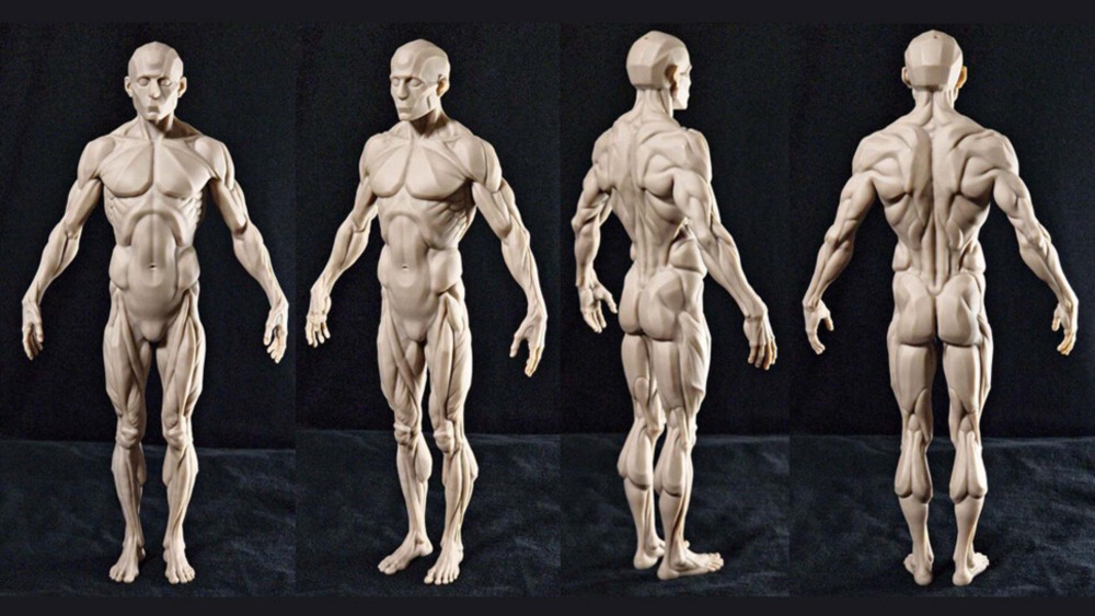【中文字幕】Zbrush 中级男性解剖学 CGBump Zbrush Senior Anatomy (Male)